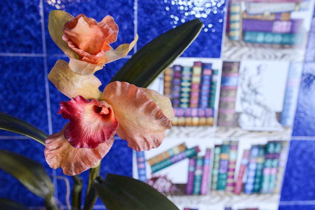 B&B Casa Felice Rome Bagian luar foto